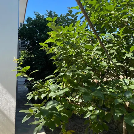 Ferienhaus Mugladaki Eviniz *
